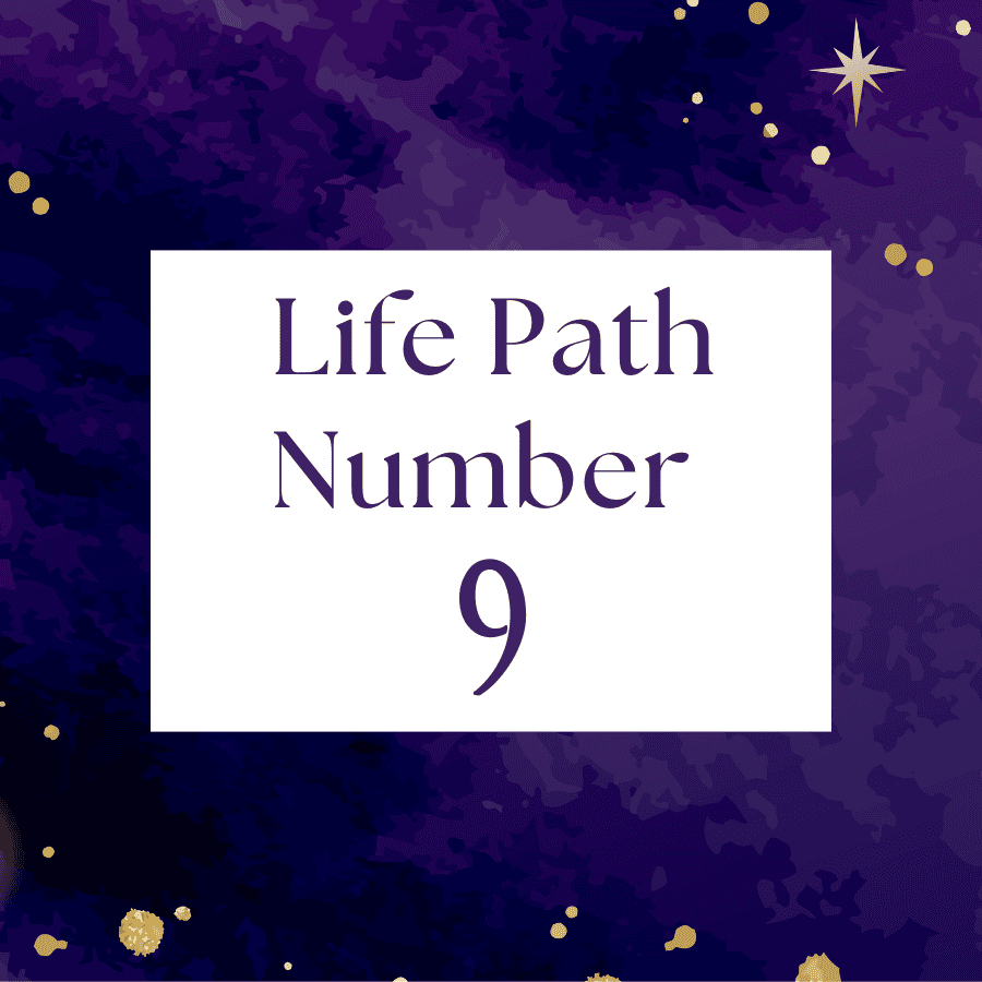 Life path number 9